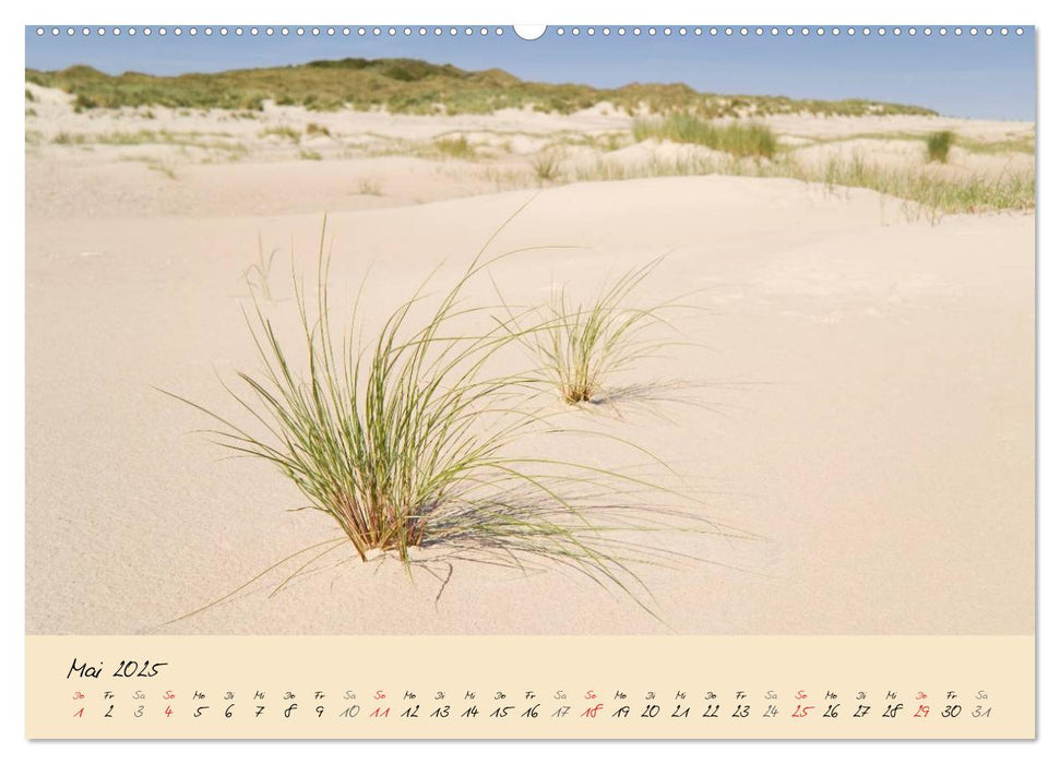 Nordsee – Dünen, Sand, Wasser und Wolken (CALVENDO Premium Wandkalender 2025)