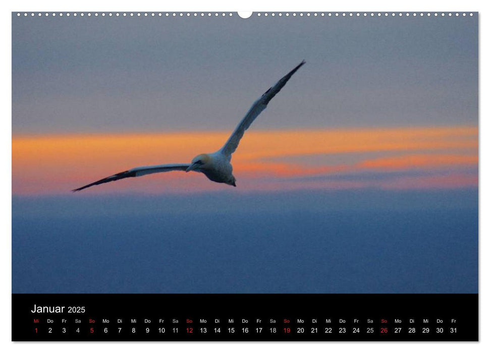 Abend in Helgoland (CALVENDO Premium Wandkalender 2025)