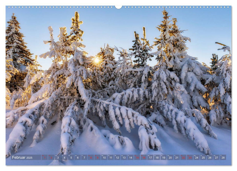 Vom Gebirge bis zum Meer, Alpen/Erzgebirge - Mitteldeutschland - Küste (CALVENDO Wandkalender 2025)