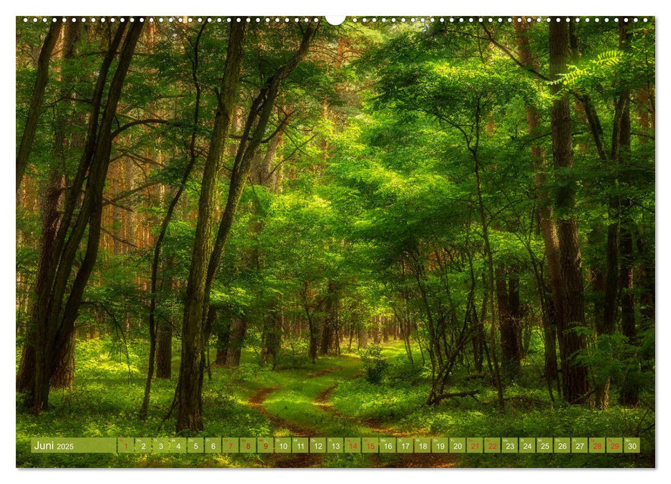 Vom Gebirge bis zum Meer, Alpen/Erzgebirge - Mitteldeutschland - Küste (CALVENDO Wandkalender 2025)