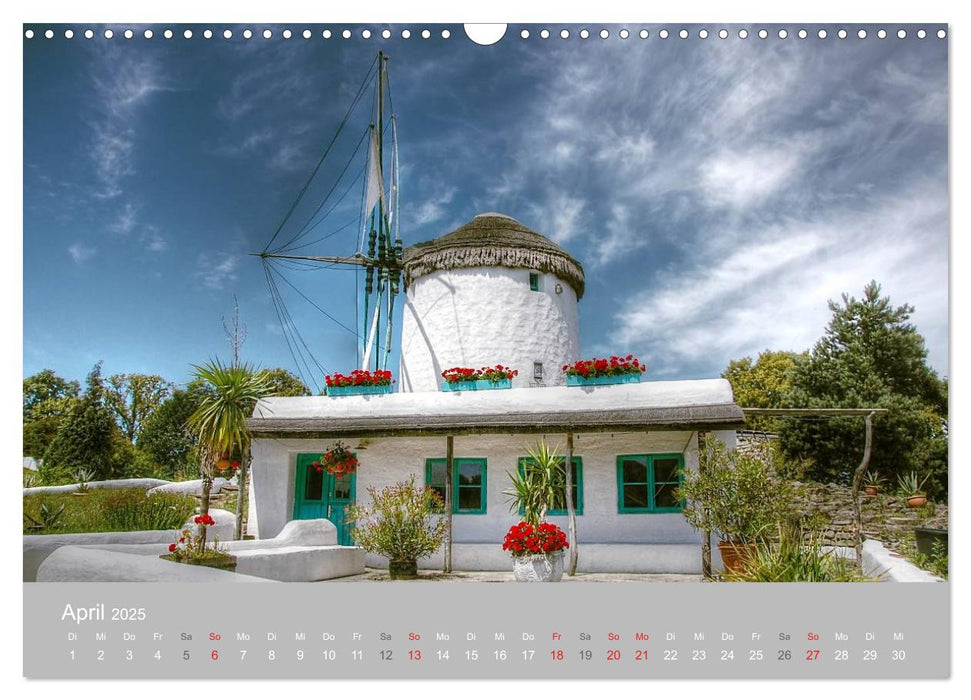 Mühlenmuseum Gifhorn (CALVENDO Wandkalender 2025)