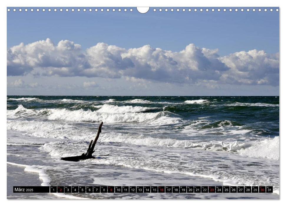 Die Ostsee (CALVENDO Wandkalender 2025)