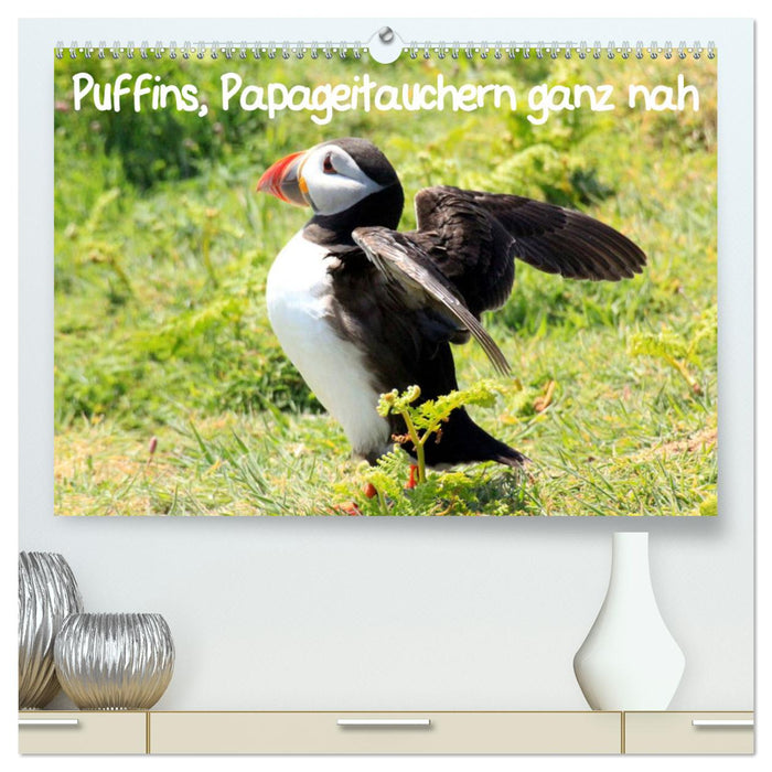 Puffins, Papageitauchern ganz nah (CALVENDO Premium Wandkalender 2025)