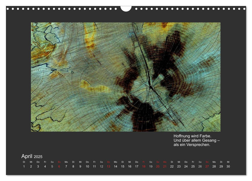 MAGIE HOLZ 2025 (CALVENDO Wandkalender 2025)