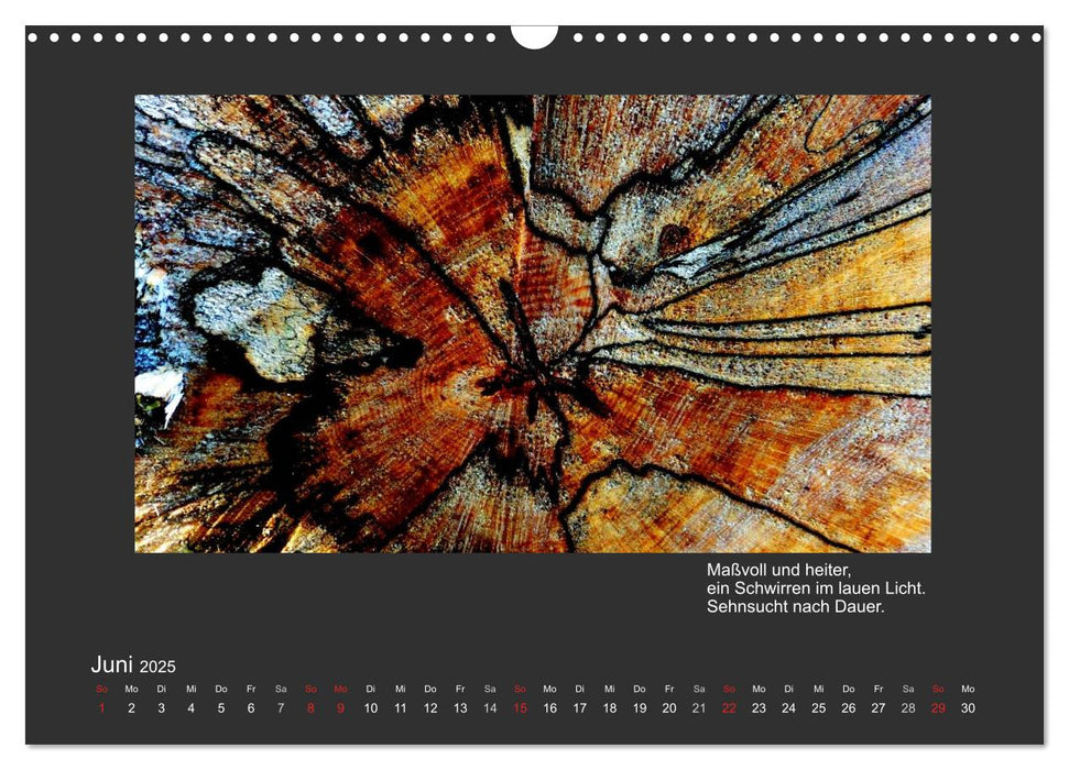 MAGIE HOLZ 2025 (CALVENDO Wandkalender 2025)