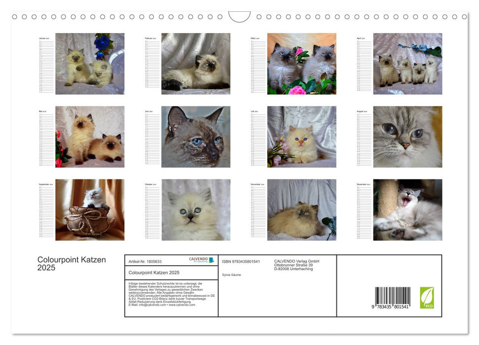 Colourpoint Katzen 2025 (CALVENDO Wandkalender 2025)