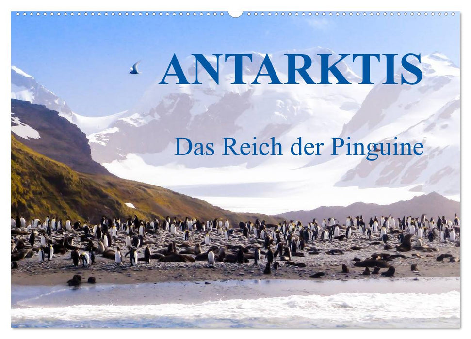 Antarktis - Das Reich der Pinguine (CALVENDO Wandkalender 2025)