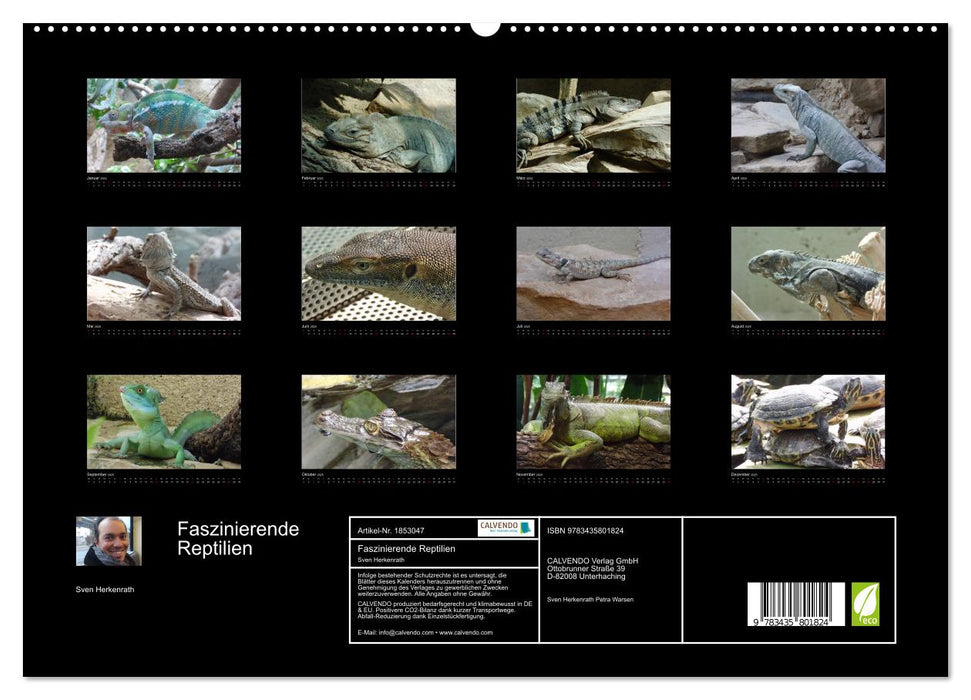 Faszinierende Reptilien (CALVENDO Premium Wandkalender 2025)