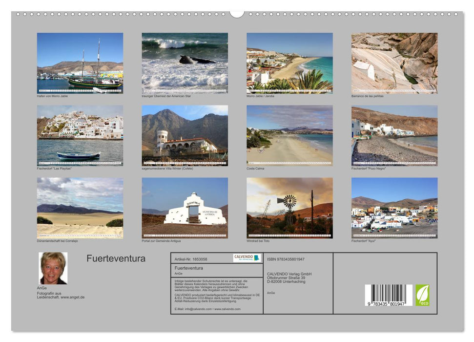 Fuerteventura (CALVENDO Premium Wandkalender 2025)