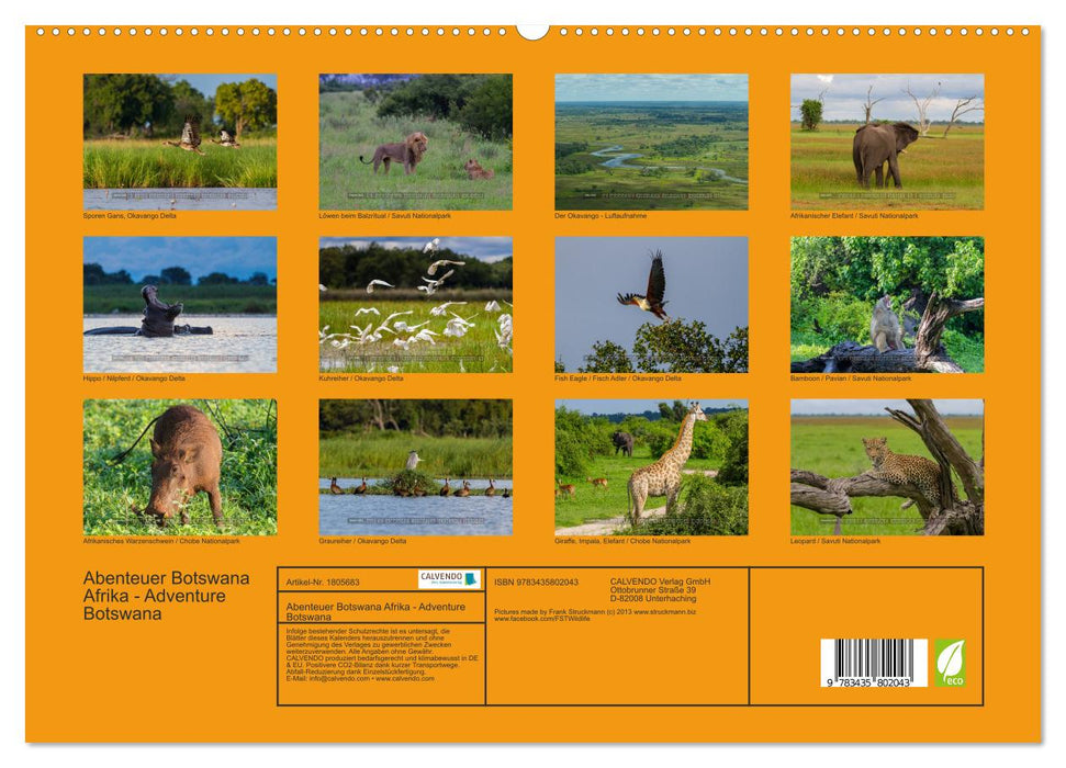 Abenteuer Botswana Afrika - Adventure Botswana (CALVENDO Premium Wandkalender 2025)