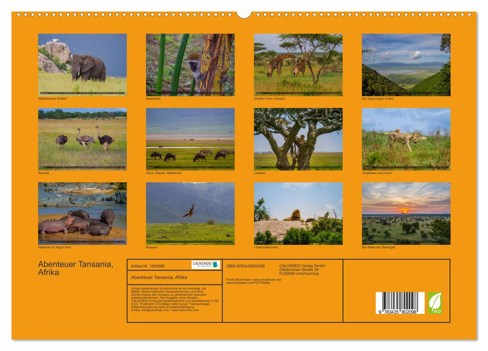 Abenteuer Tansania, Afrika (CALVENDO Premium Wandkalender 2025)