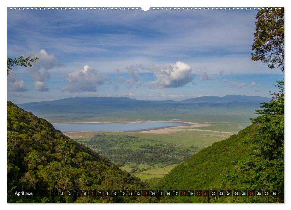 Abenteuer Tansania, Afrika (CALVENDO Premium Wandkalender 2025)