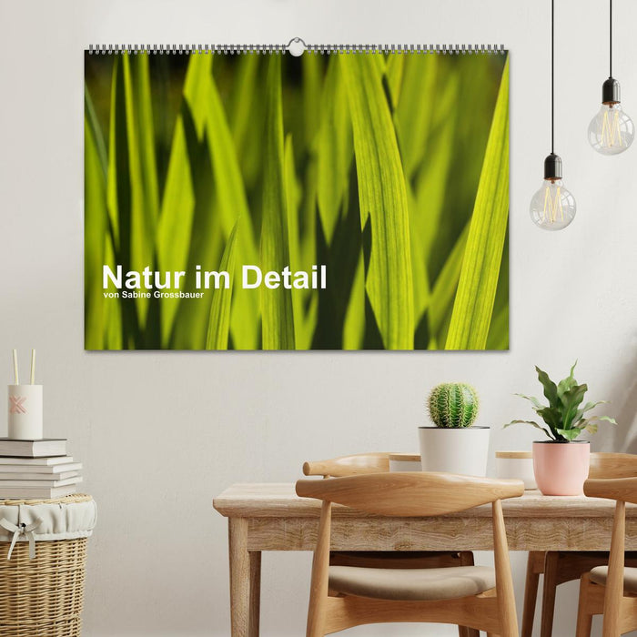 Natur im Detail (CALVENDO Wandkalender 2025)