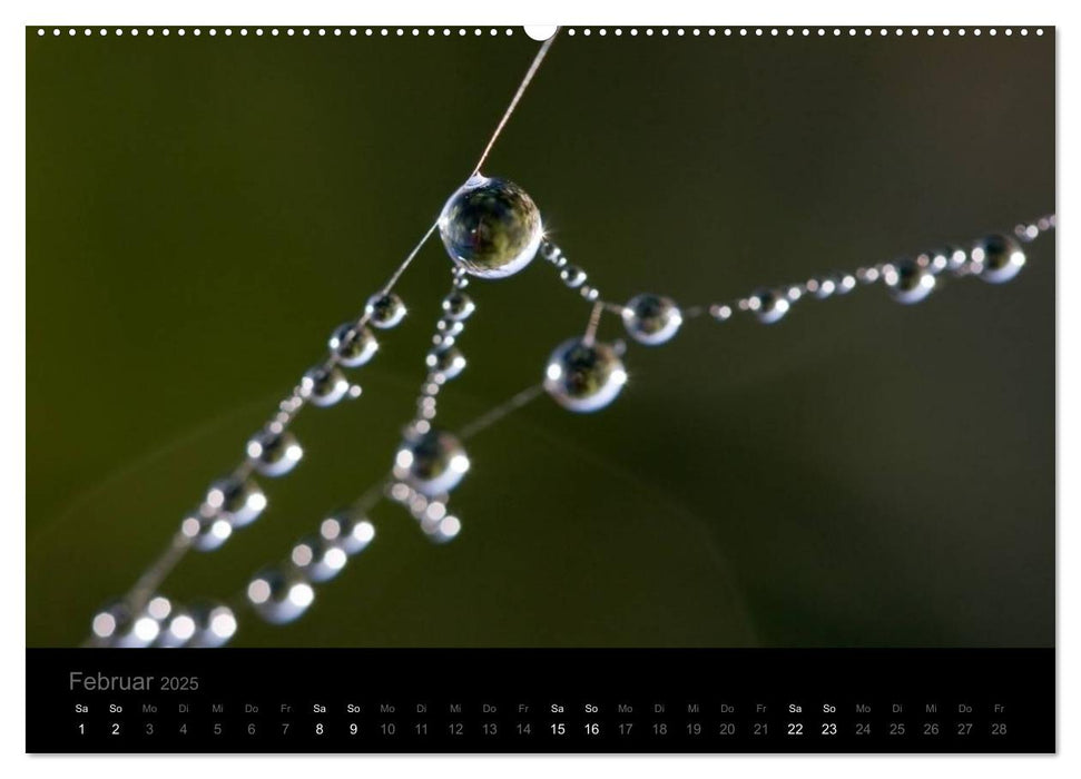 Natur im Detail (CALVENDO Wandkalender 2025)