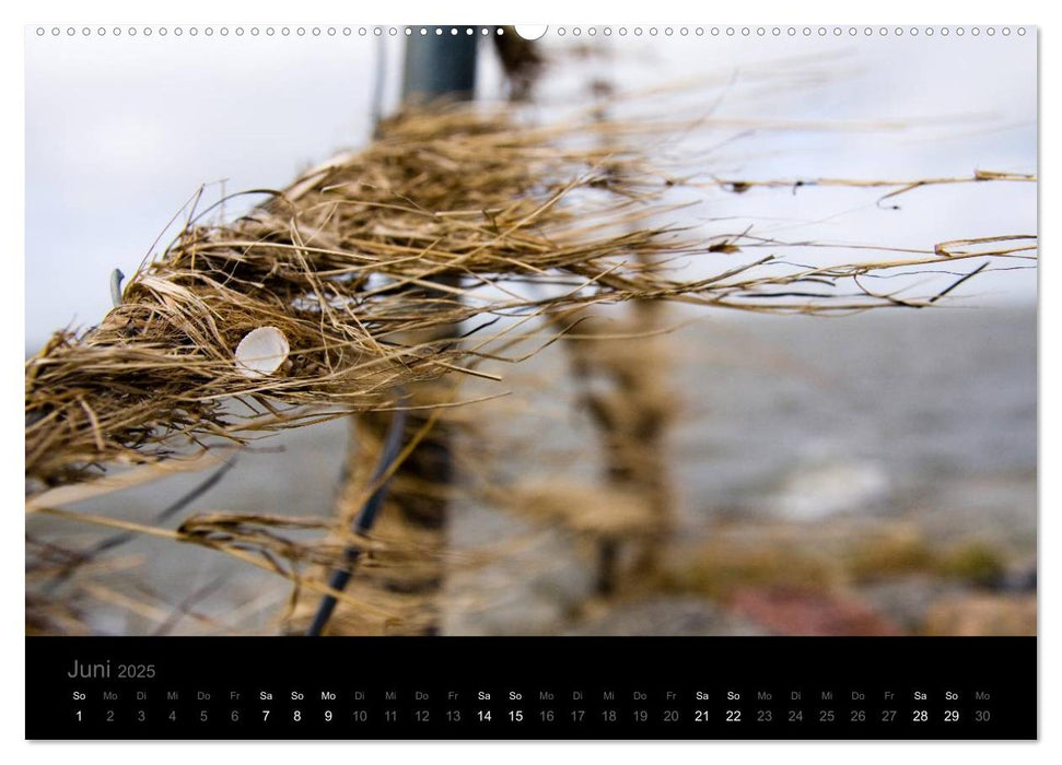 Natur im Detail (CALVENDO Wandkalender 2025)