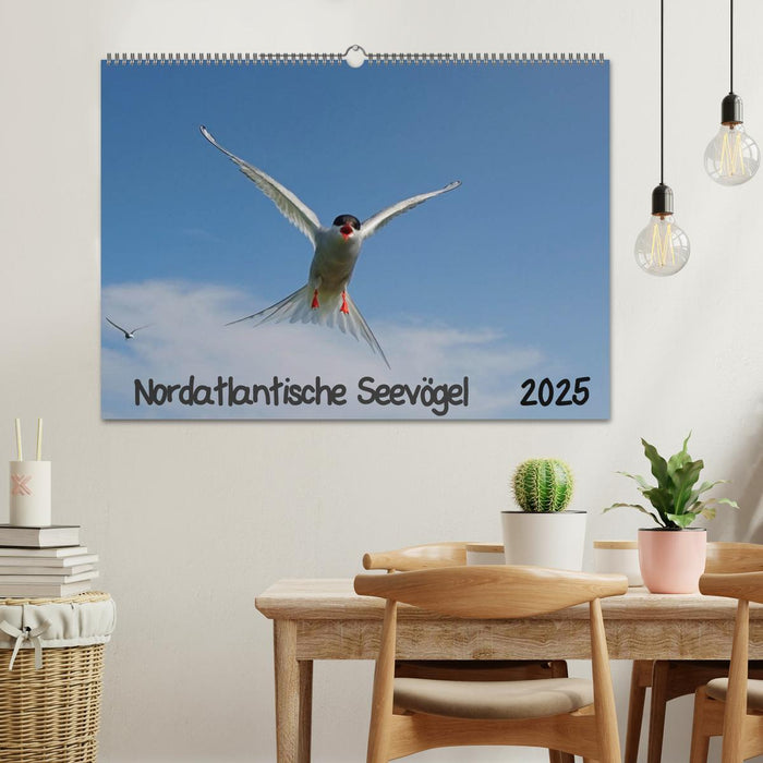 Nordatlantische Seevögel (CALVENDO Wandkalender 2025)