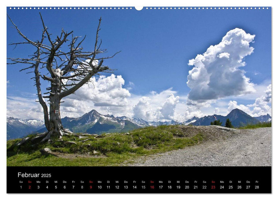 Baum-Variationen (CALVENDO Premium Wandkalender 2025)