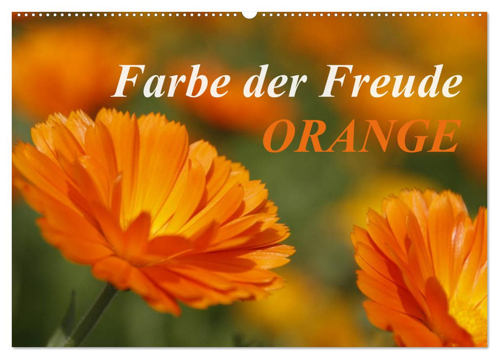 ORANGE – Farbe der Freude (CALVENDO Wandkalender 2025)