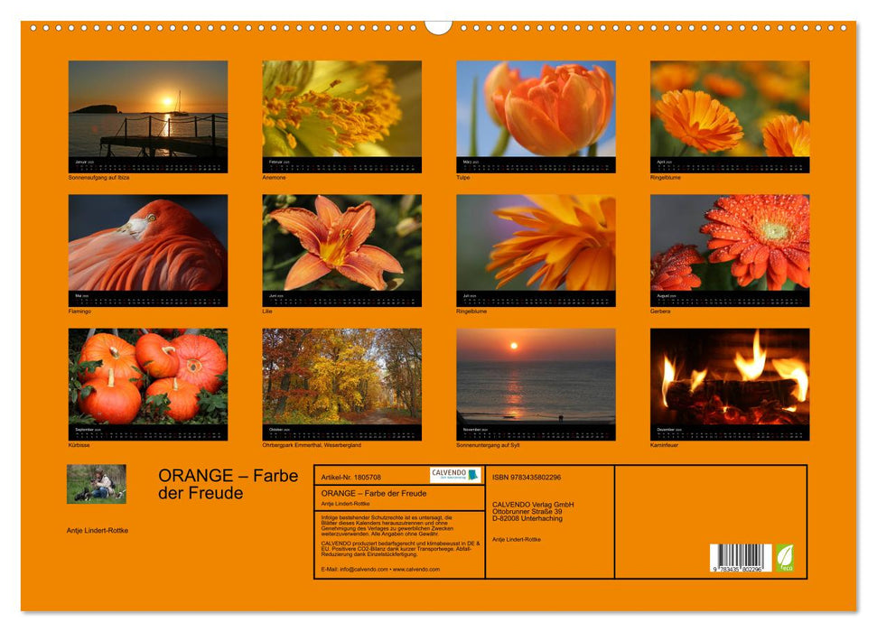 ORANGE – Farbe der Freude (CALVENDO Wandkalender 2025)