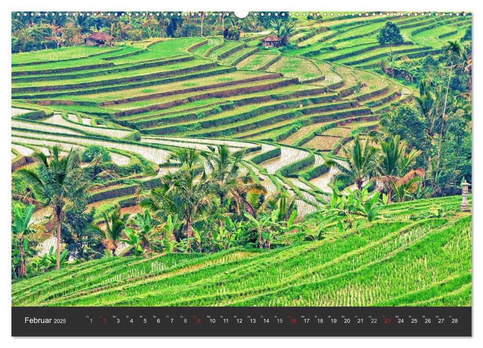 Bali - Insel der Götter (CALVENDO Premium Wandkalender 2025)