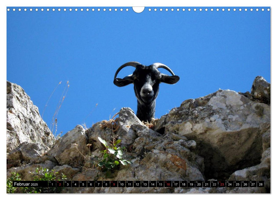 Griechenland - Insel Rhodos (CALVENDO Wandkalender 2025)