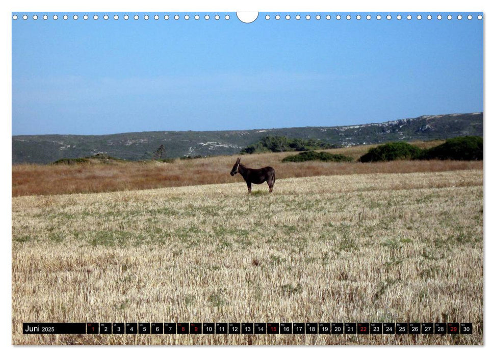 Griechenland - Insel Rhodos (CALVENDO Wandkalender 2025)