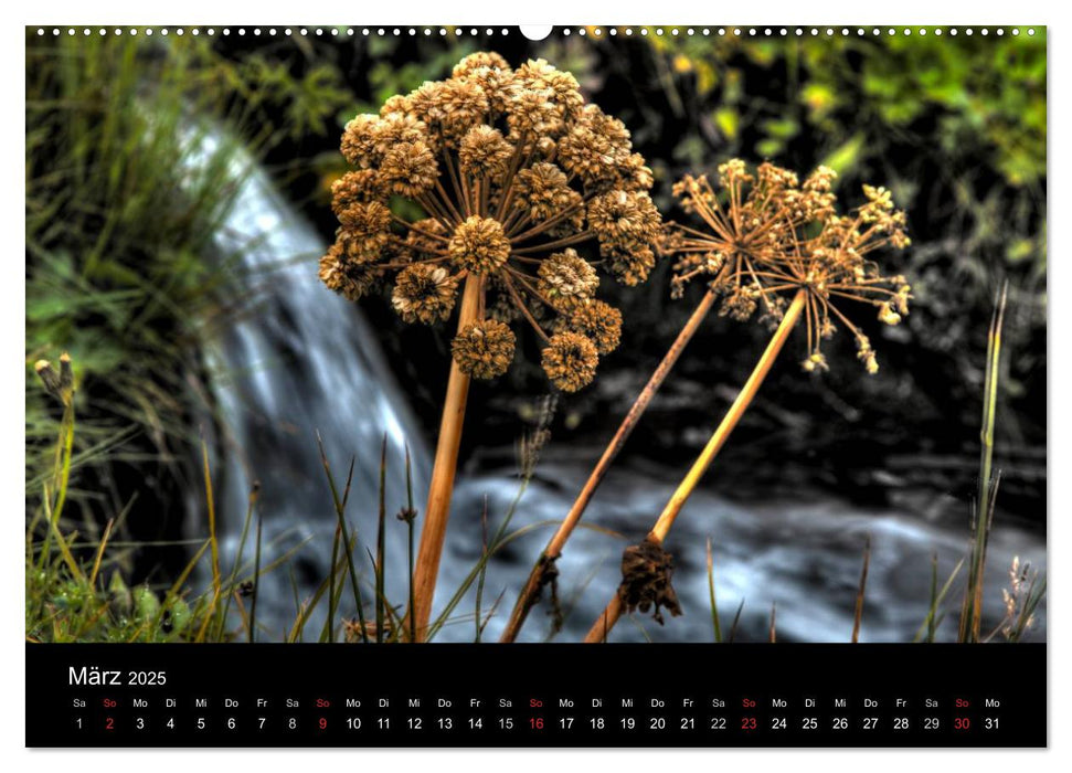 Quer durch Island (CALVENDO Premium Wandkalender 2025)