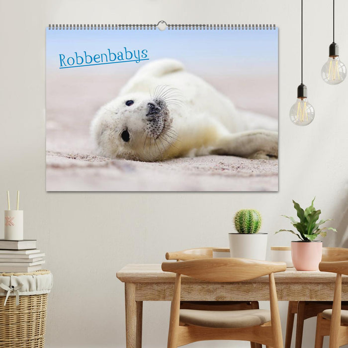 Robbenbabys (CALVENDO Wandkalender 2025)