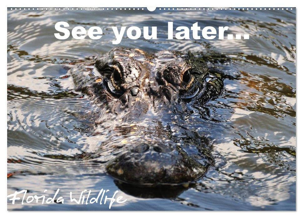 See you later ... Florida Wildlife (CALVENDO Wandkalender 2025)