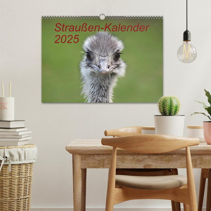 Straußen-Kalender 2025 (CALVENDO Wandkalender 2025)