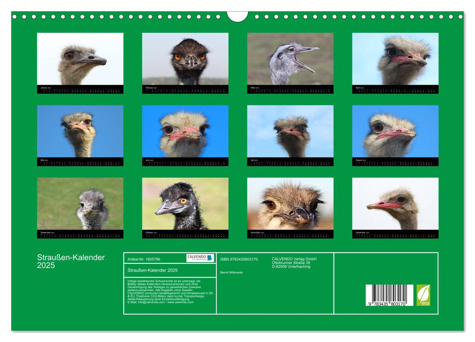 Straußen-Kalender 2025 (CALVENDO Wandkalender 2025)