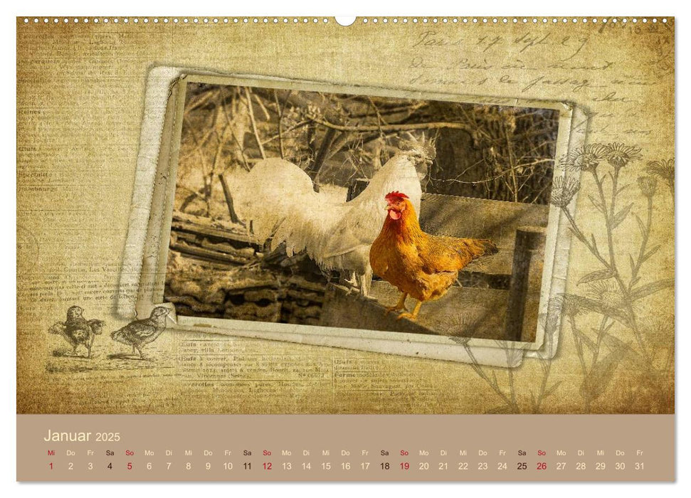 French Vintage Country (CALVENDO Wandkalender 2025)