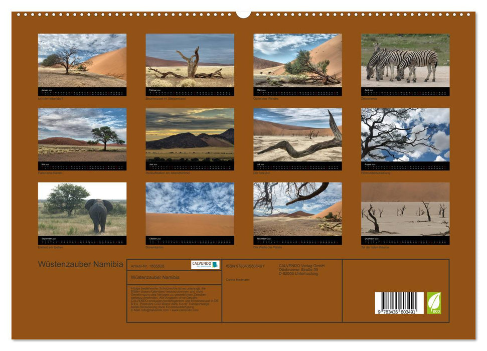 Wüstenzauber Namibia (CALVENDO Premium Wandkalender 2025)