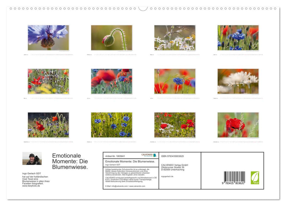 Emotionale Momente: Die Blumenwiese. (CALVENDO Premium Wandkalender 2025)