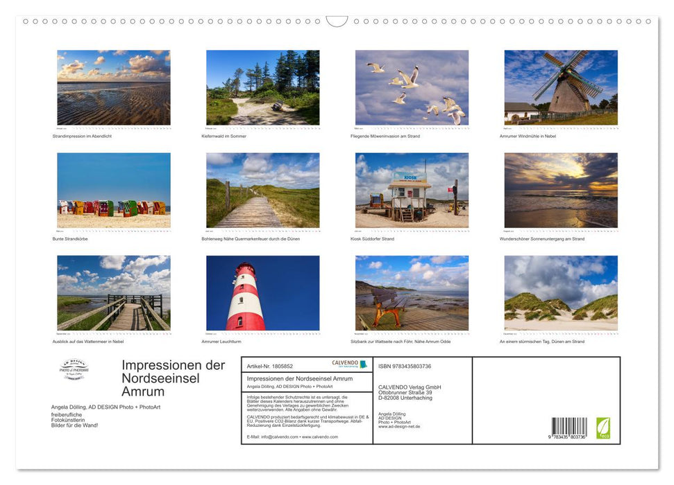 Impressionen der Nordseeinsel Amrum (CALVENDO Wandkalender 2025)