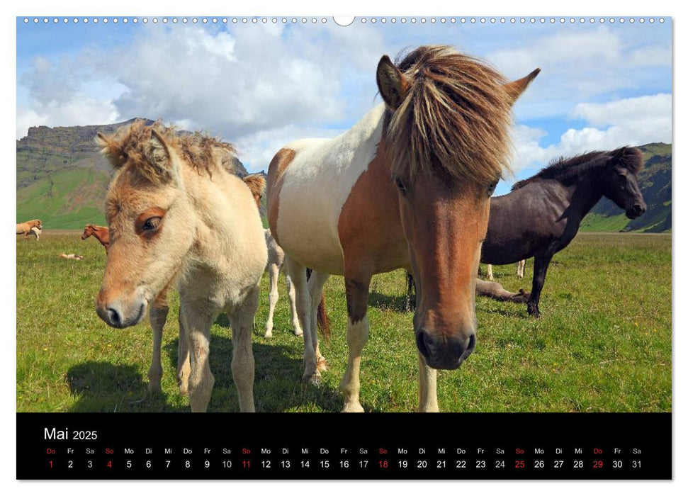 Island - Iceland (CALVENDO Premium Wandkalender 2025)