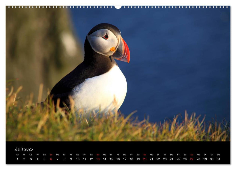 Island - Iceland (CALVENDO Premium Wandkalender 2025)