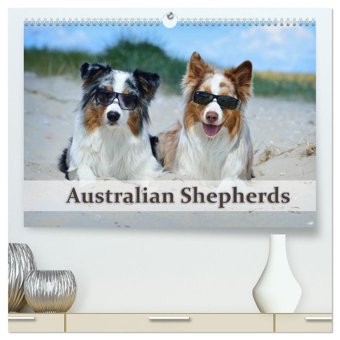 Wunderbare Australian Shepherds (CALVENDO Premium Wandkalender 2025)
