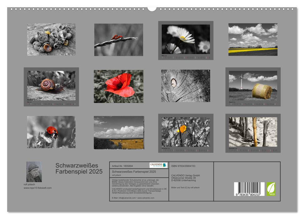 Schwarzweißes Farbenspiel 2025 (CALVENDO Premium Wandkalender 2025)