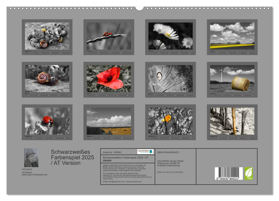 Schwarzweißes Farbenspiel 2025 / AT Version (CALVENDO Premium Wandkalender 2025)