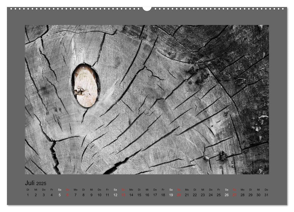 Schwarzweißes Farbenspiel 2025 / AT Version (CALVENDO Premium Wandkalender 2025)