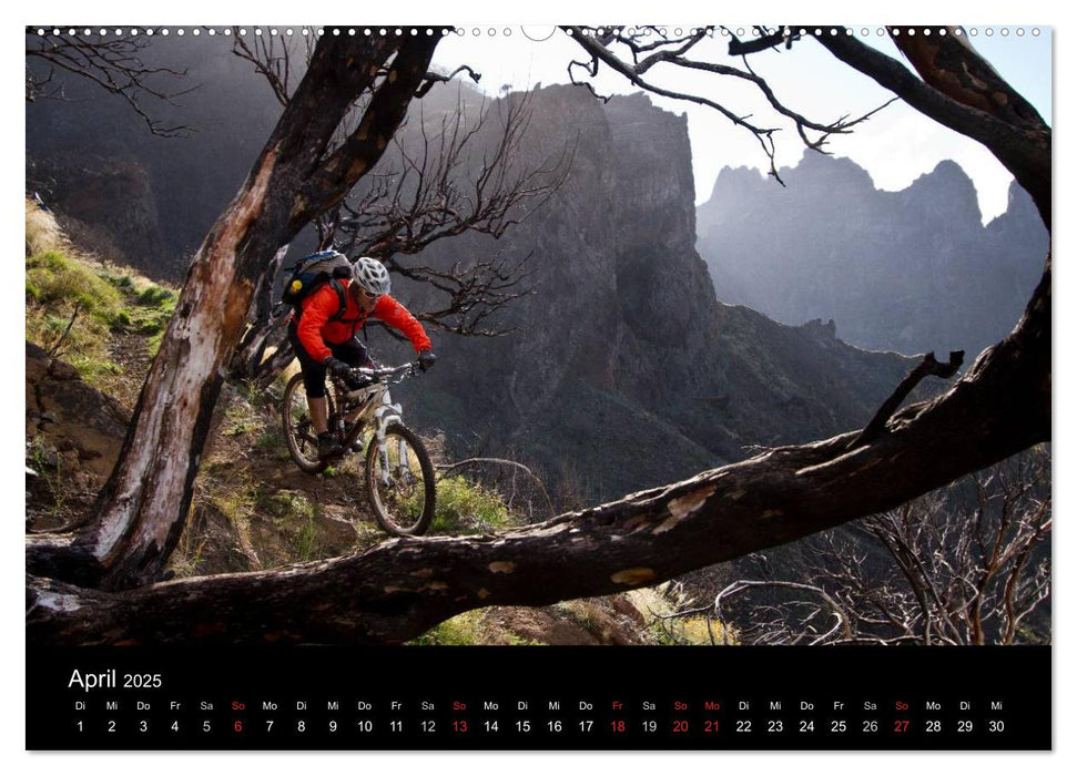 Bike Dreams (CALVENDO Premium Wandkalender 2025)