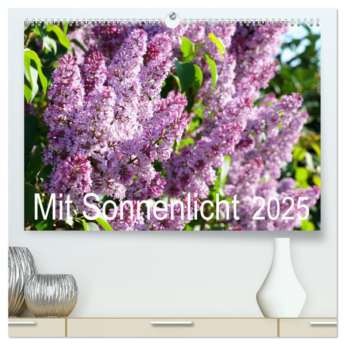 Mit Sonnenlicht (CALVENDO Premium Wandkalender 2025)