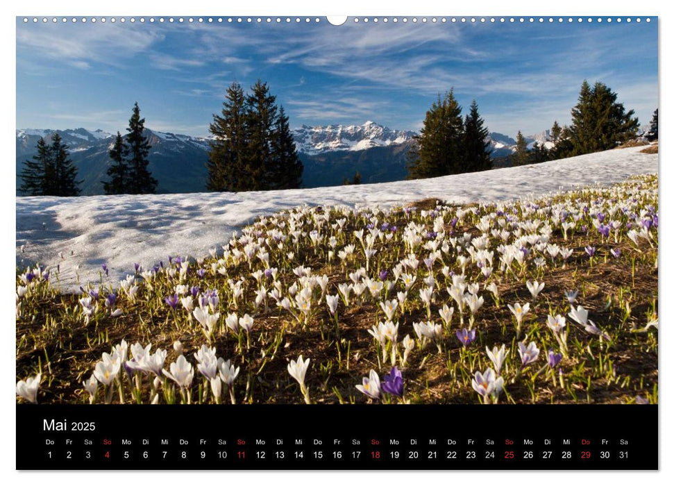 Graubünden - Die schönsten Bilder (CALVENDO Premium Wandkalender 2025)