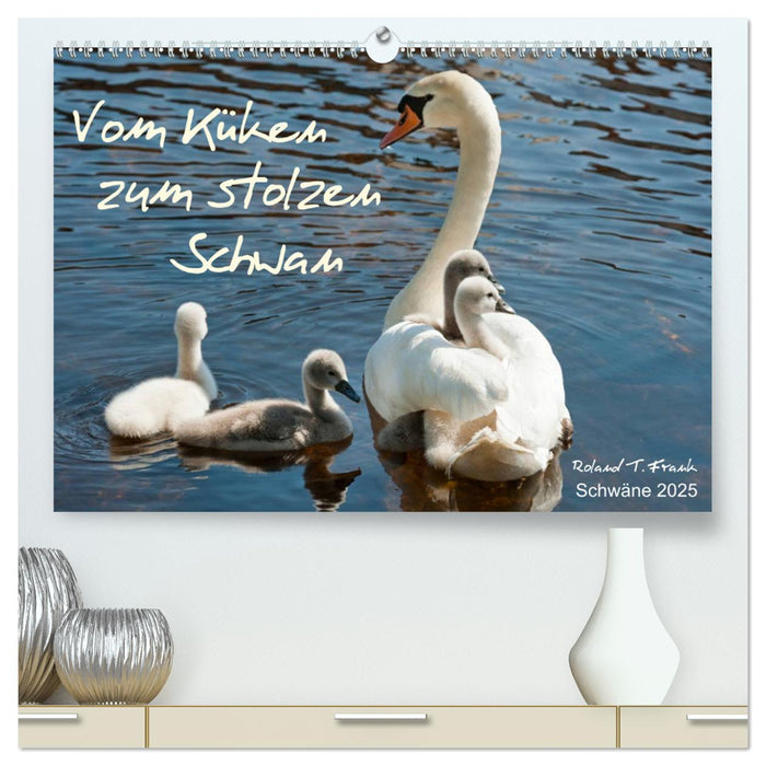 Vom Küken zum stolzen Schwan (CALVENDO Premium Wandkalender 2025)