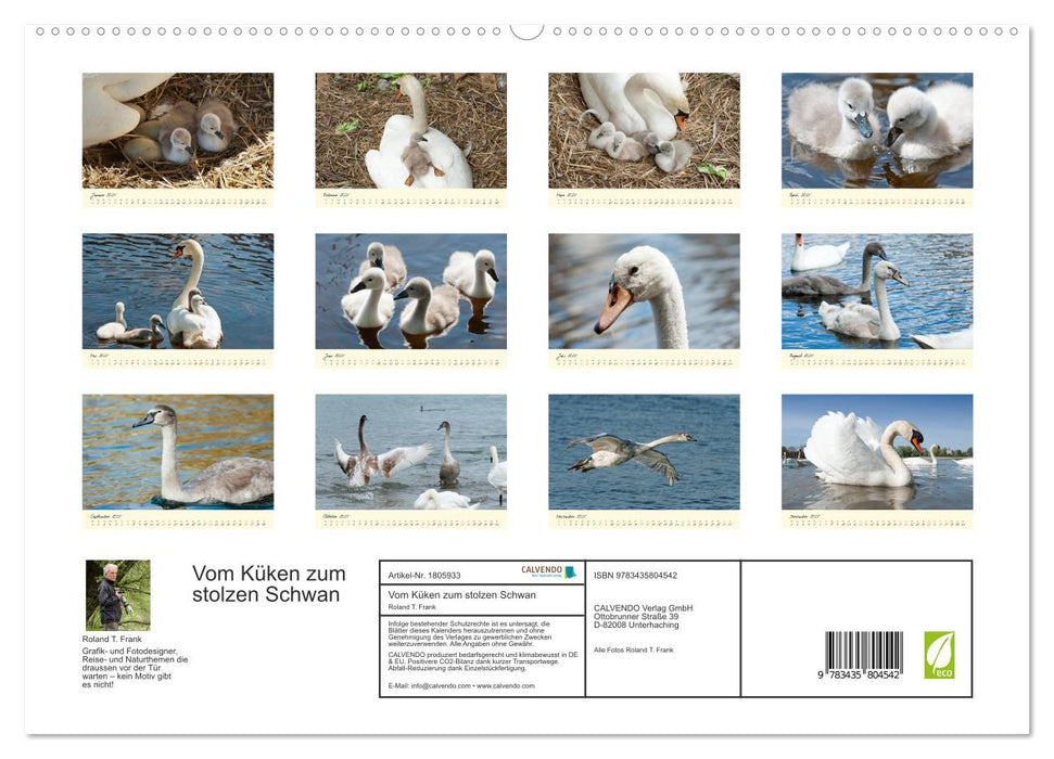 Vom Küken zum stolzen Schwan (CALVENDO Premium Wandkalender 2025)