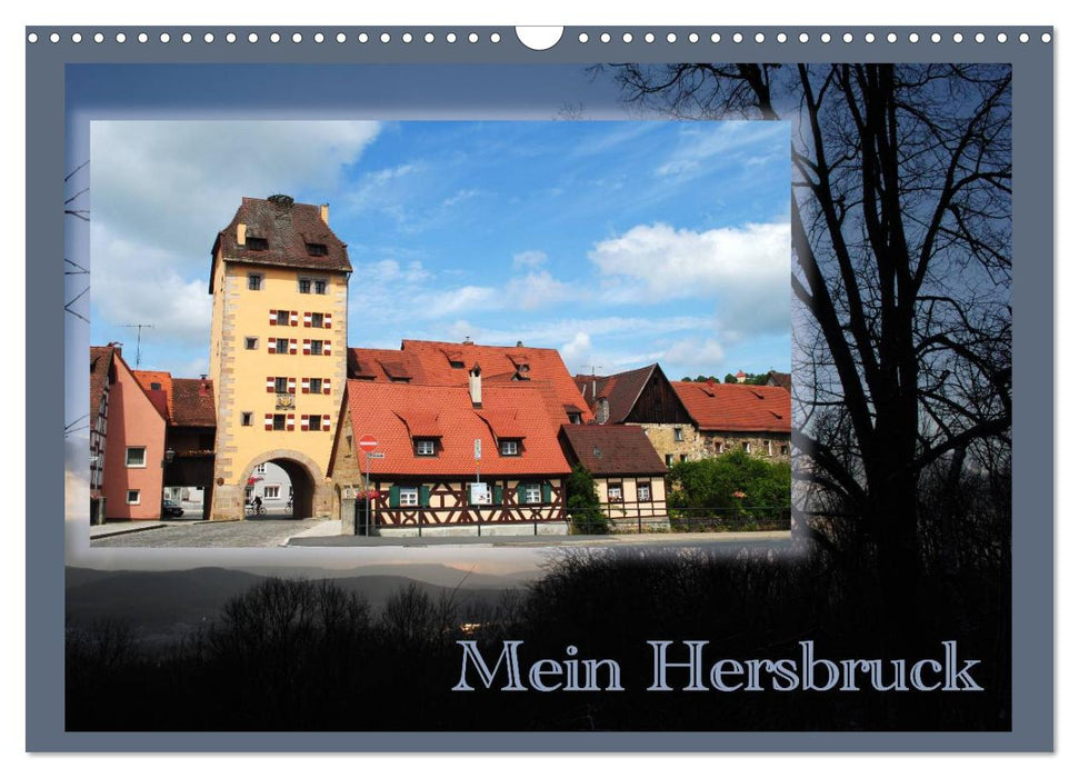 Mein Hersbruck (CALVENDO Wandkalender 2025)