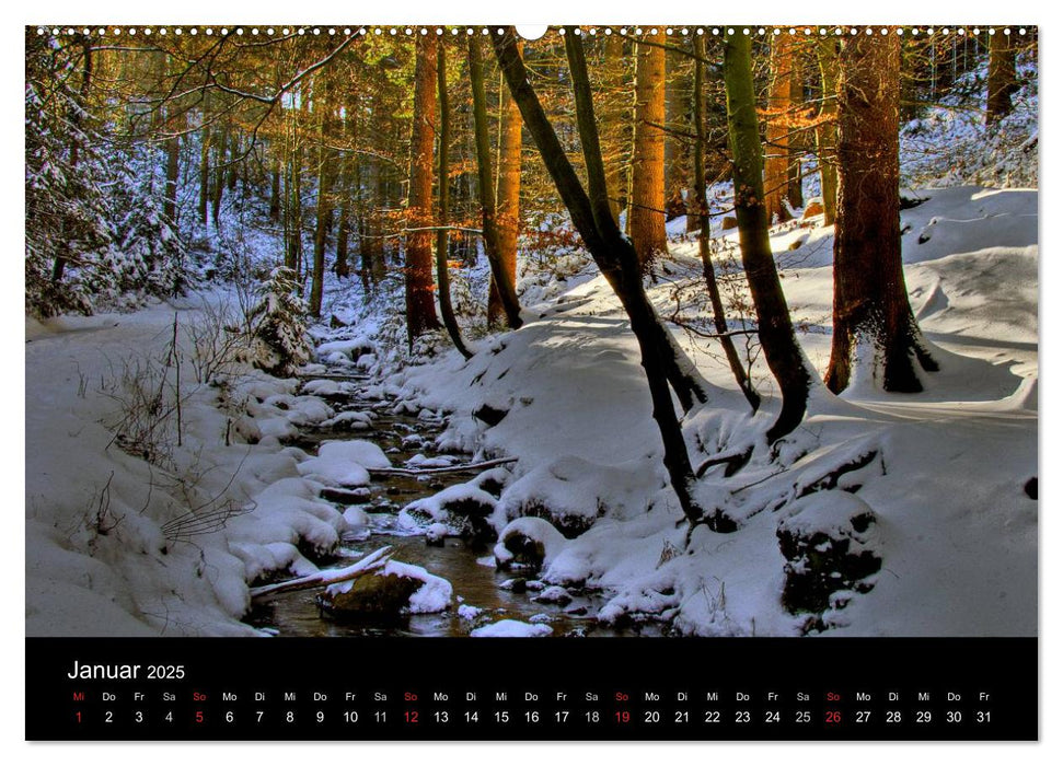 Naturpark Teutoburger Wald - Silberbach (CALVENDO Premium Wandkalender 2025)