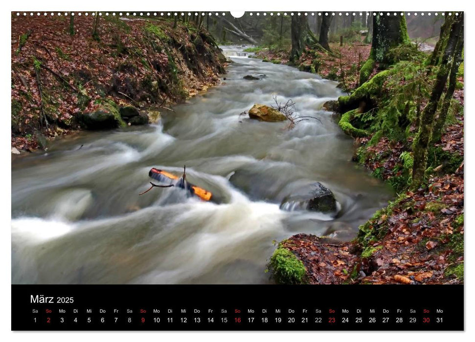 Naturpark Teutoburger Wald - Silberbach (CALVENDO Premium Wandkalender 2025)