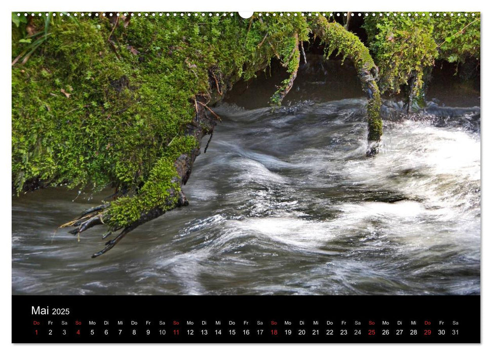 Naturpark Teutoburger Wald - Silberbach (CALVENDO Premium Wandkalender 2025)